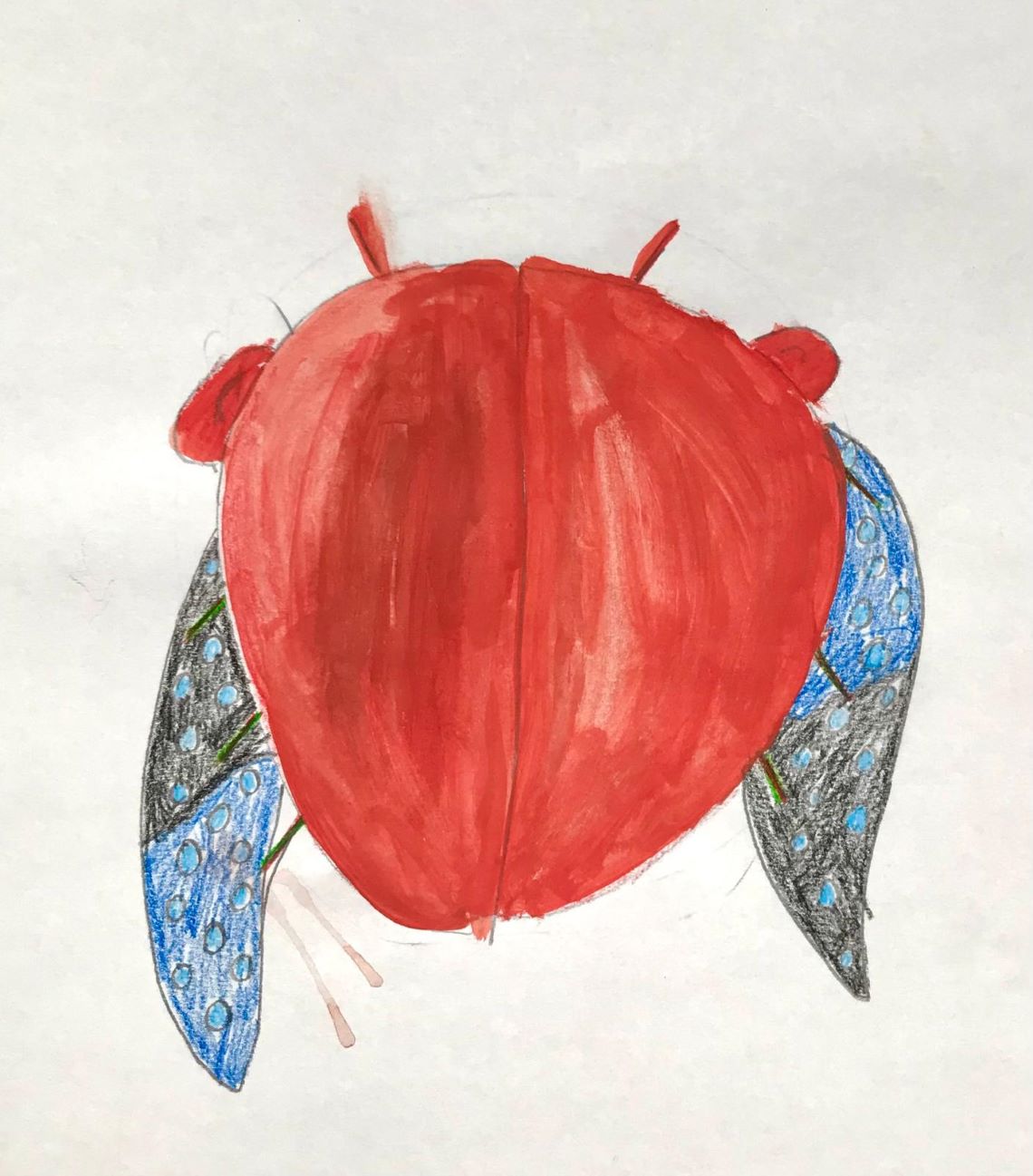 Das Bilddiktat im Jahrgang 5