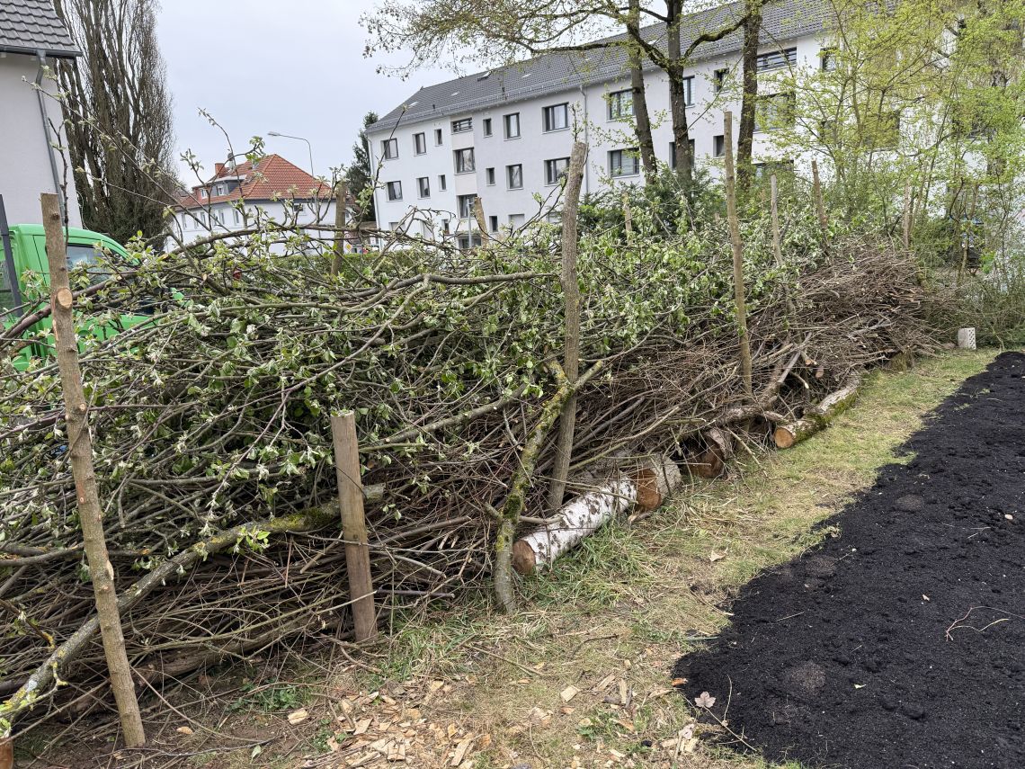 26 05 17 208 Acker Blog hermann-ehlers-schule