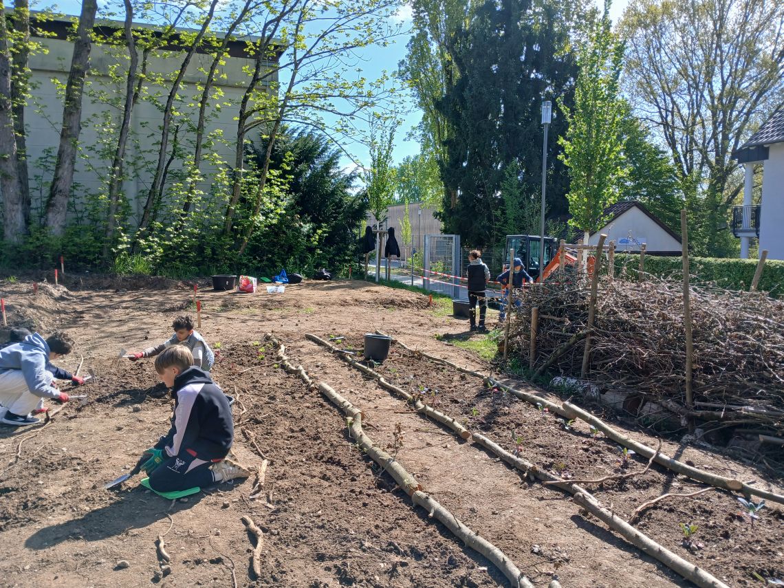 26 05 17 211 Acker Blog hermann-ehlers-schule